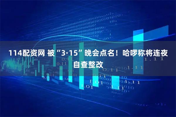 114配资网 被“3·15”晚会点名！哈啰称将连夜自查整改