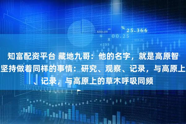 知富配资平台 藏地九哥：他的名字，就是高原智慧的象徵，每天坚持做着同样的事情：研究、观察、记录，与高原上的草木呼吸同频