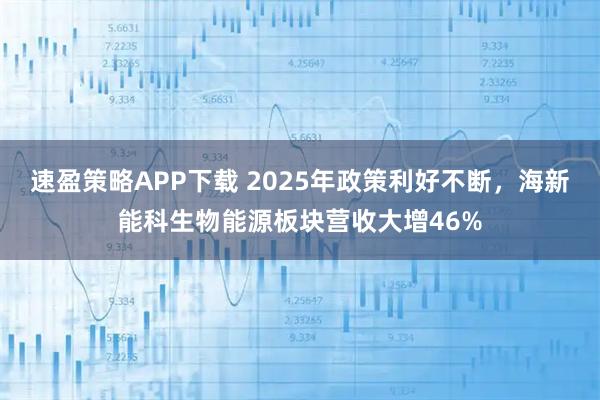 速盈策略APP下载 2025年政策利好不断，海新能科生物能源板块营收大增46%
