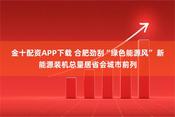 金十配资APP下载 合肥劲刮“绿色能源风” 新能源装机总量居省会城市前列
