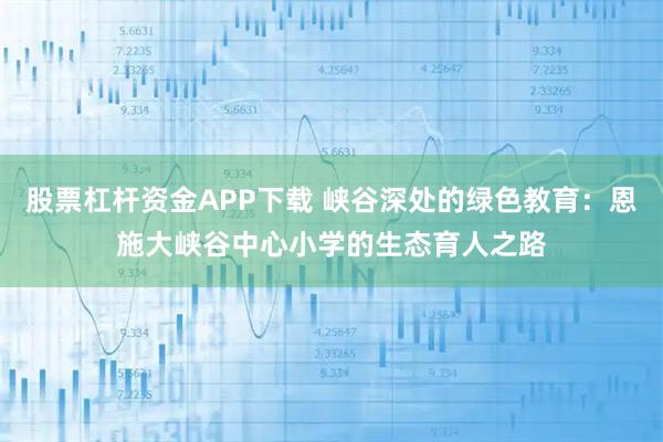 股票杠杆资金APP下载 峡谷深处的绿色教育：恩施大峡谷中心小学的生态育人之路