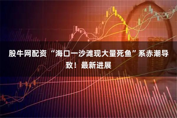 股牛网配资 “海口一沙滩现大量死鱼”系赤潮导致!最新进展